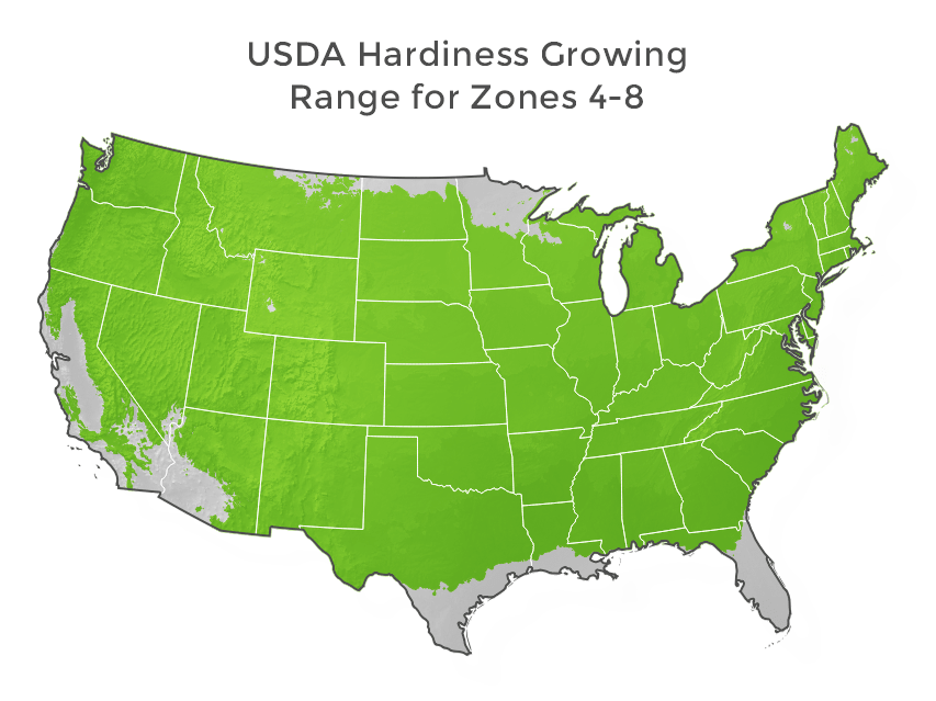 usda-hardiness-growing-range-for-zones-4-8.png